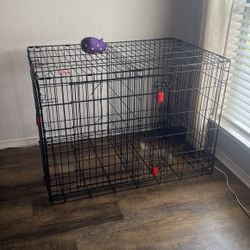 KONG Dog Kennel 