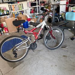 Mountain Bike
