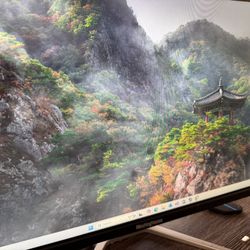 Westinghouse 24in Monitor