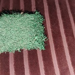 AUTHENTIC THREE RIVERS FIELD ARTIFICIAL TURF RELIC