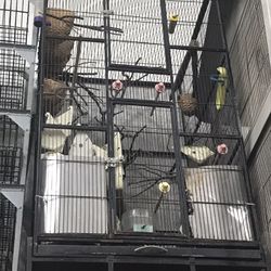 Parrot /Large Bird Cage