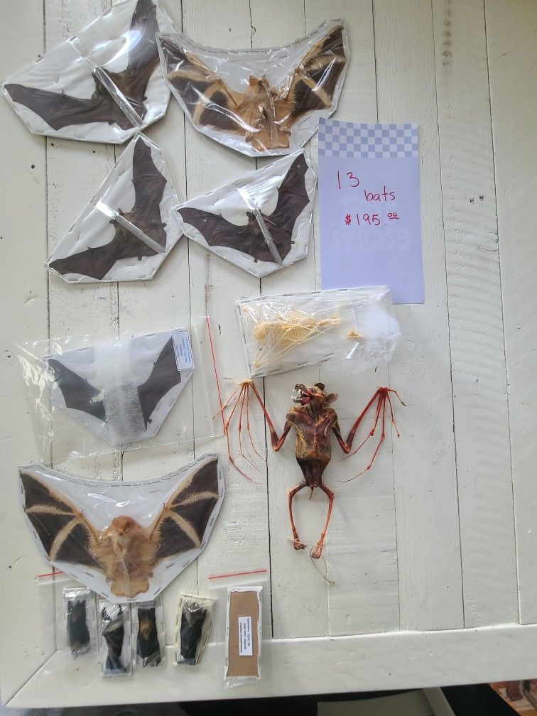 Odd Craft Lot