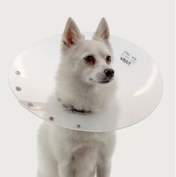 Saf T Shield Dog E Collar