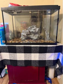 Fish tank and stand