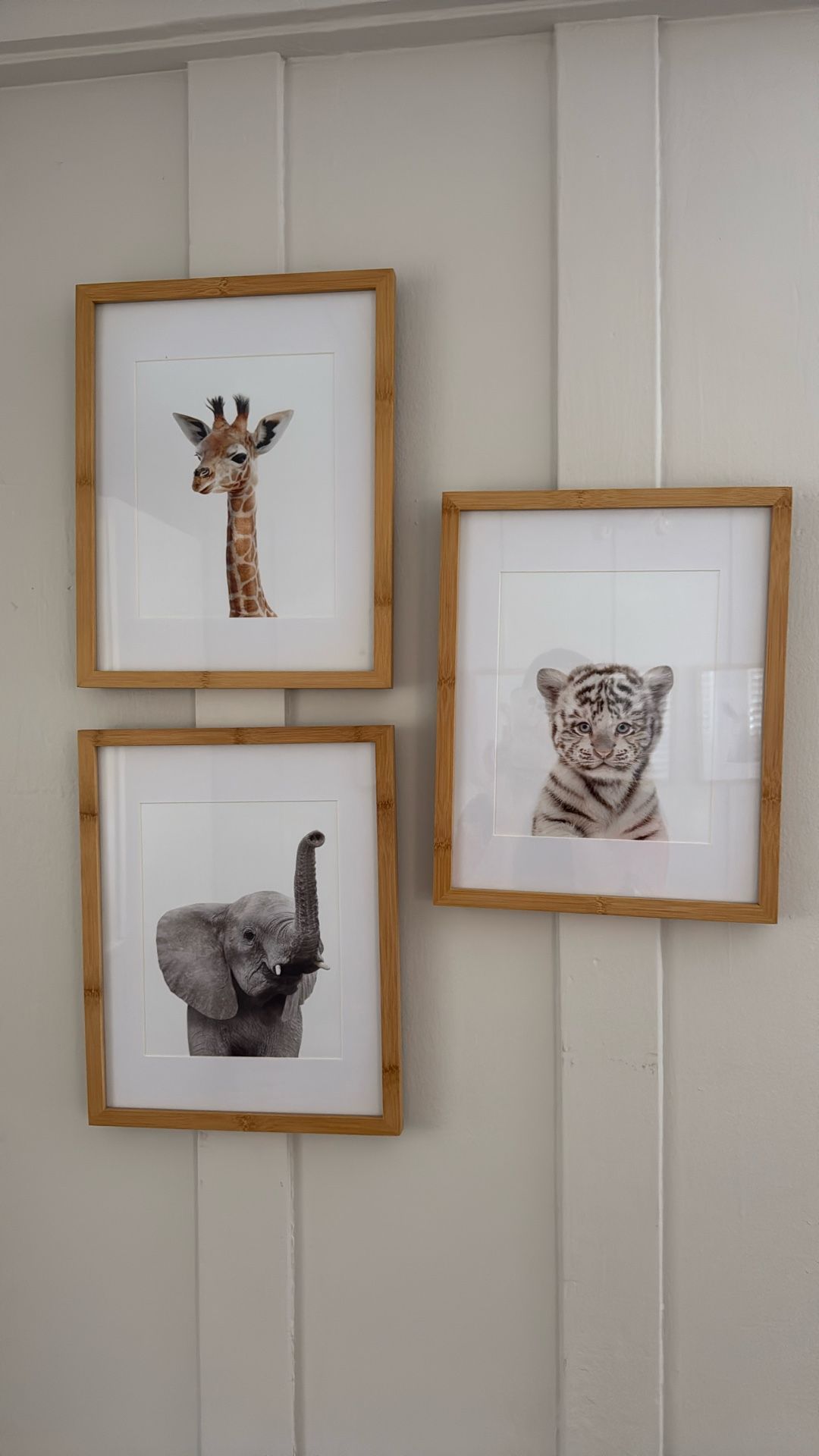 Framed Baby Animals For Nursery 