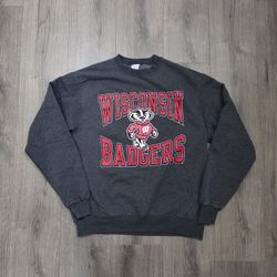 Champion Wisconsin Badgers Crewneck Grey Sweater Mens Size Large