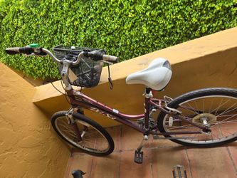 Del Sol City Bike with Front Basket