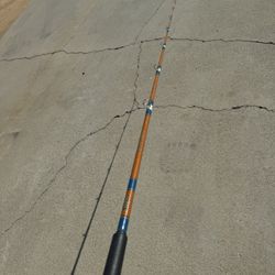 Seeker fishing rod