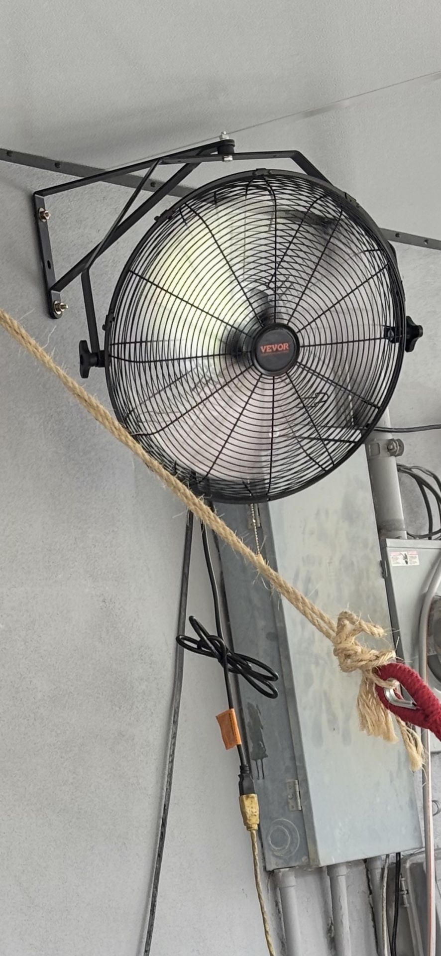 Fan