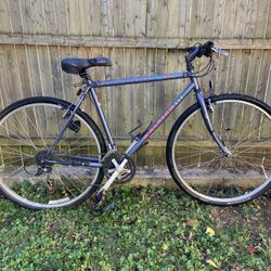 🚲 Raleigh Aluminum CT300 Hybrid Bike – Lightweight, 19” Frame, Ready to Go!