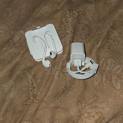 New Apple Earbuds and charger 