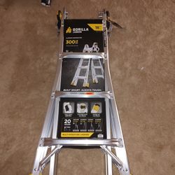 Gorilla 18' Ladder