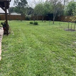 Lawn Mower 
