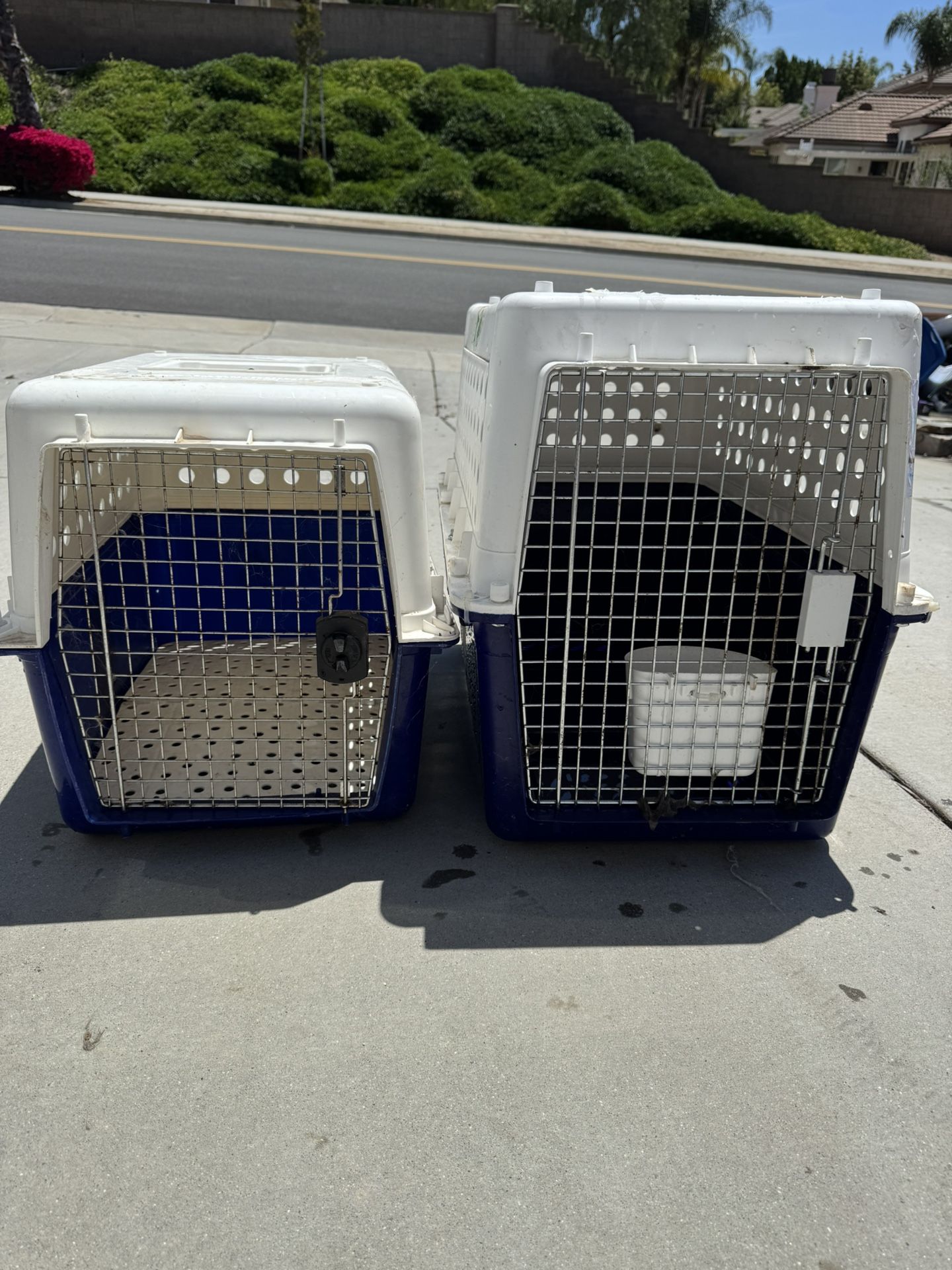 IATA Approved Pet And Wire Dog Crates AVAILABLE 
