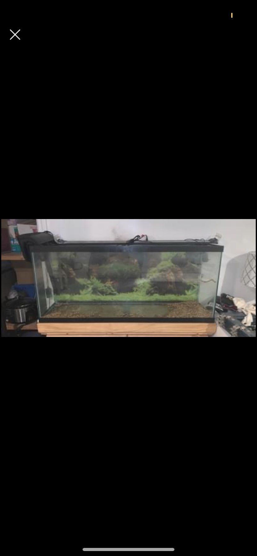 55 Gallons Fish Take With Stand