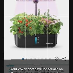 Hydroponics Growing System