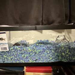 20 Gallon Horizontal Tank