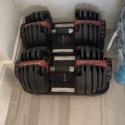 Bowflex Weights 