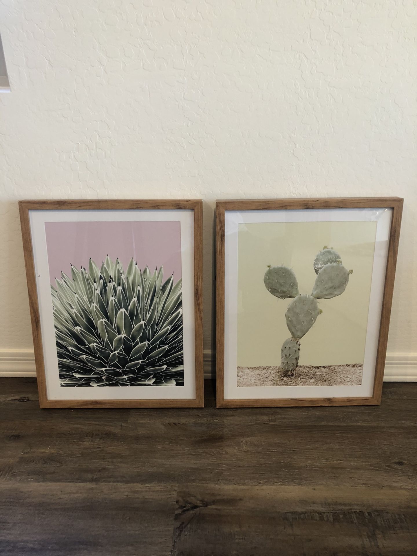 Cactus decor