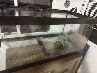 Aquatic  For Fish Or Hámster 