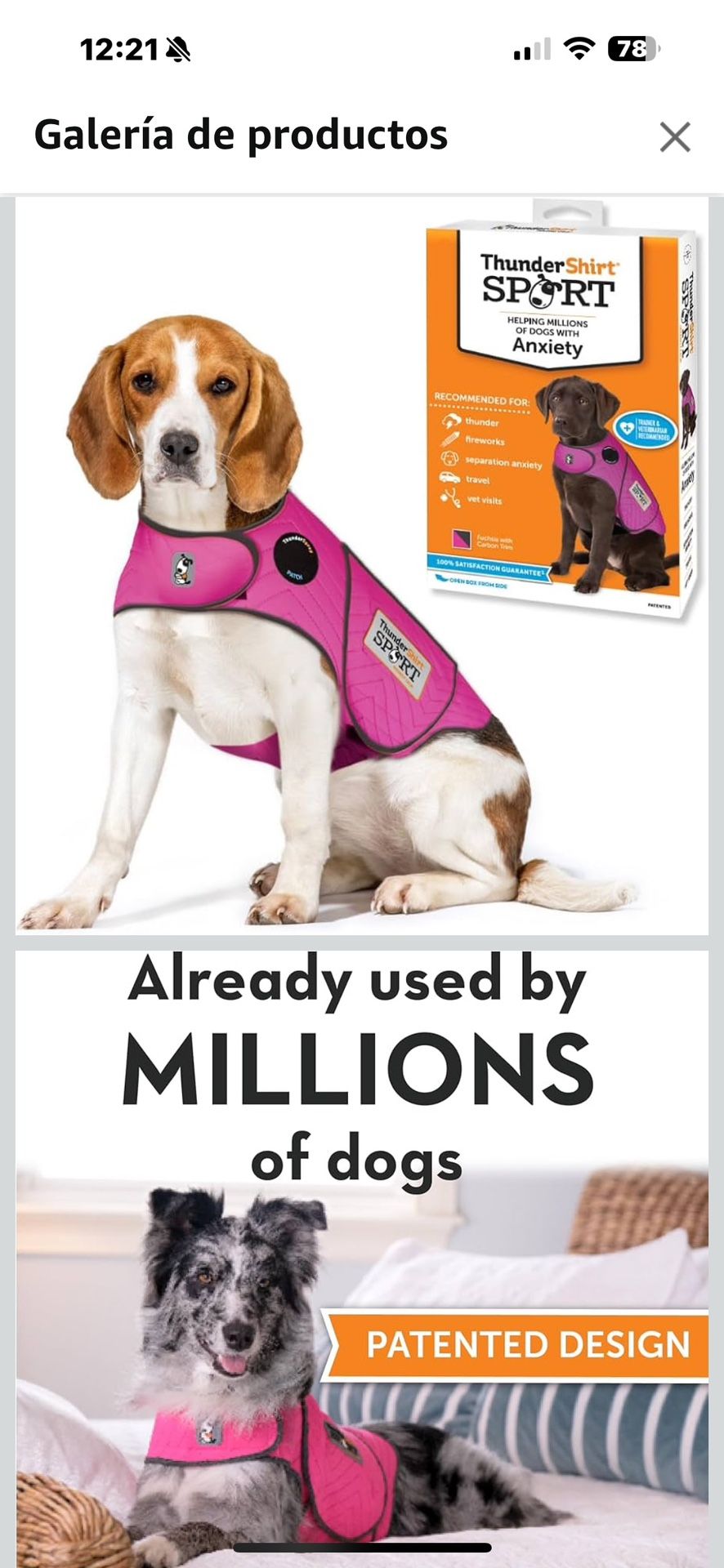 Vest For Anxiety Dogs