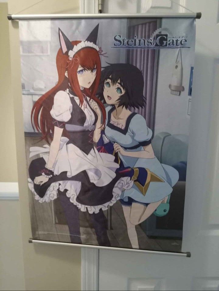 Steins Gate Anime Wall Scroll