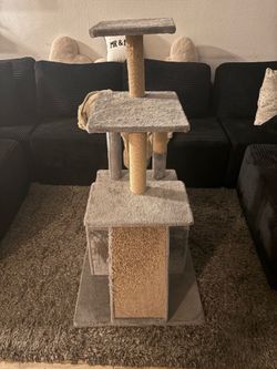Cat playhouse