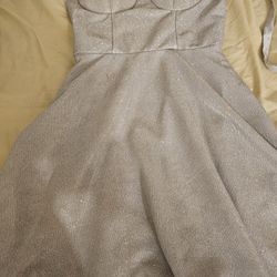 Quince Dress Priced Reduced 