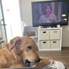 Winnie