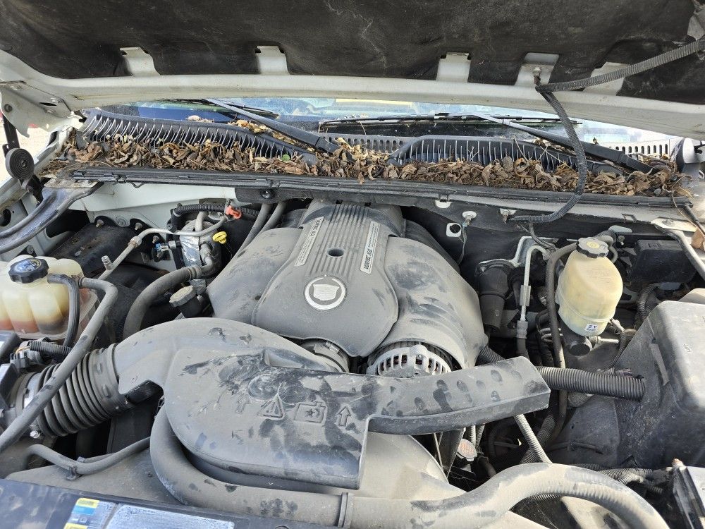 2002 6.0 Motor