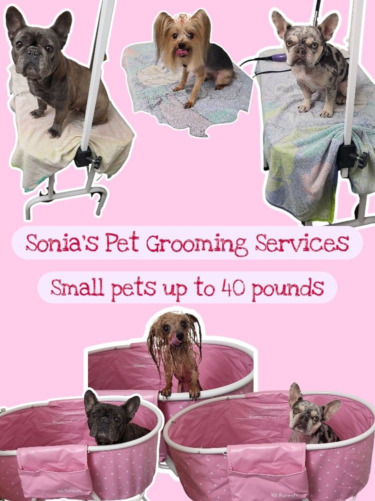 Grooming Bath And Table