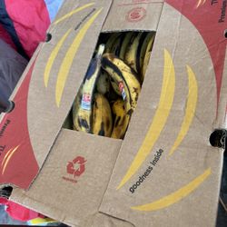 Caja Turbana Platano macho $50