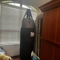 Pro Punching Bag 