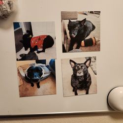 Custom Magnets!! Read Description