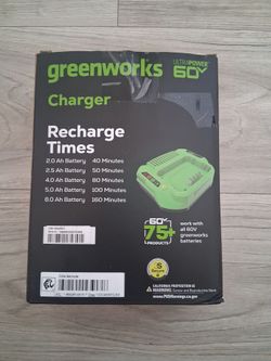 Greenwood 60volt charger