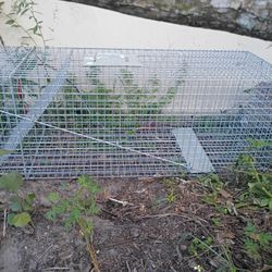 Trapper Cage