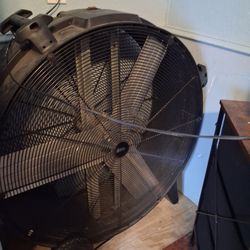 Large Fan 