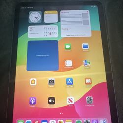 iPad Décima Generación 