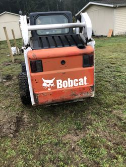 Bobcat