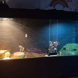 120 Gallon Reptile Tank (comes With 2 UVB Lights And 1 Halogen)