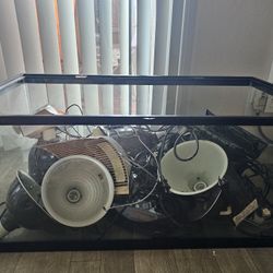 Terrarium and Lights