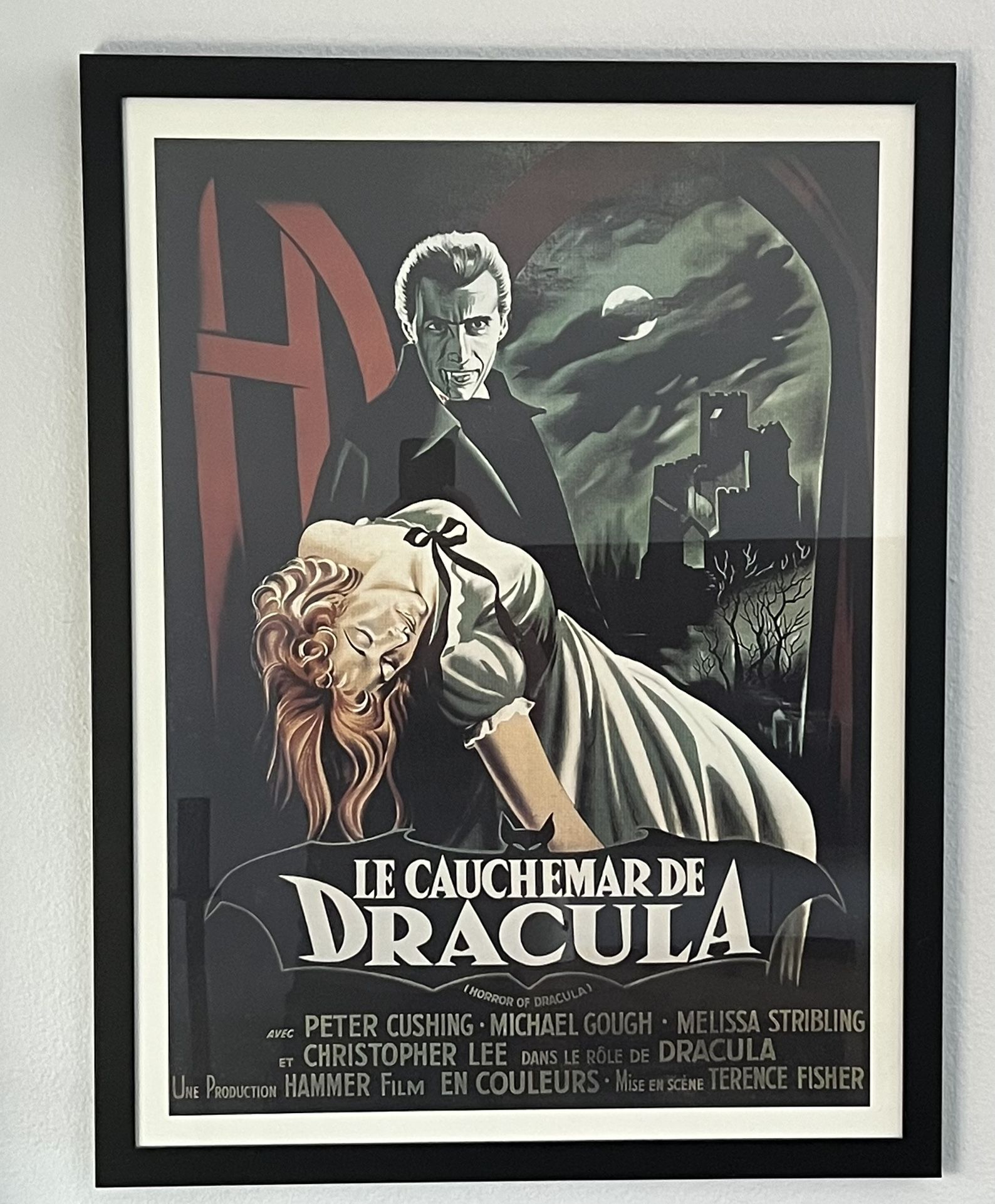 Universal Monster Movie Posters- Framed