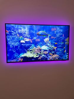 Tv Wall Mount Install Installations Samsung Lg Sony LED RGB Lighting