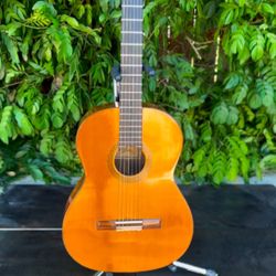 Vintage 1970s Aria Classical Acoustic Guitar (Model A555) Made In Japan