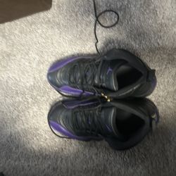 Jordan 12s