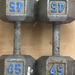 45 Lb Dumbell Pair