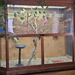 Bird /Reptile Cage 