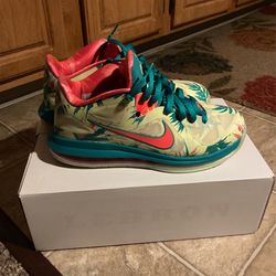 Nike Lebron 9