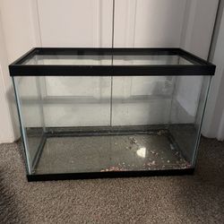 20 Gal Tank Tall