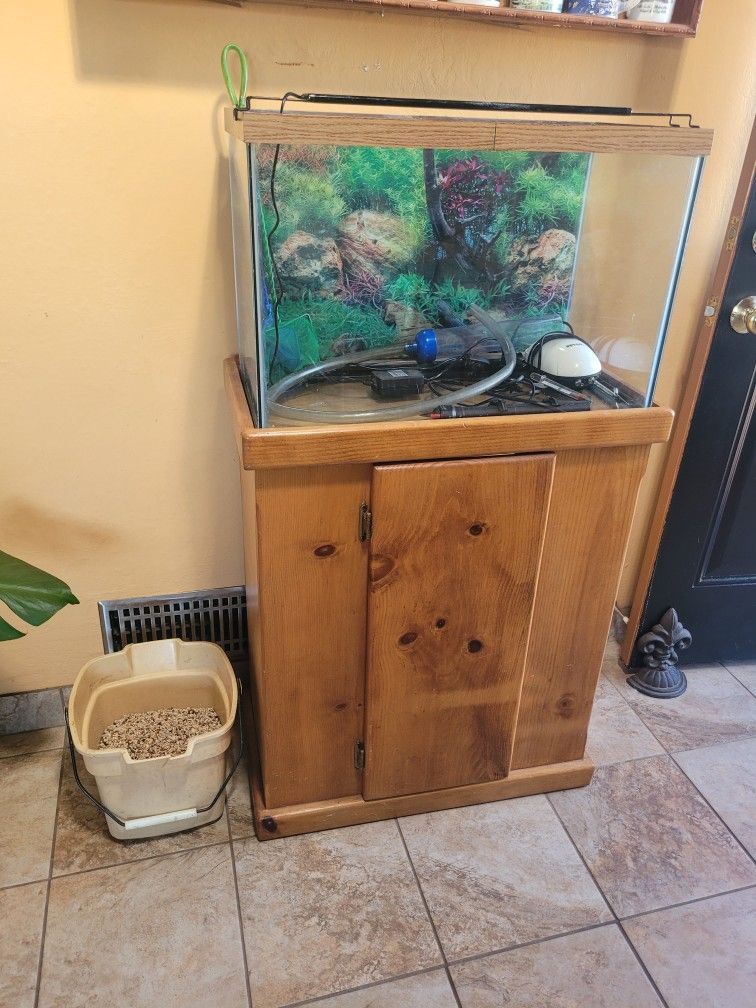 26 Gallon Aquarium Set-up 